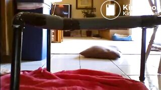 Chubby redhead swallows whole shit, ScatKings.com Scat Porn 3 ScatKings.com Scat Porn