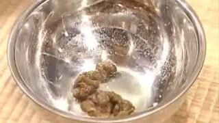 Not A Porno Video (Restaurant), ScatKings.com Scat Porn 9 ScatKings.com Scat Porn