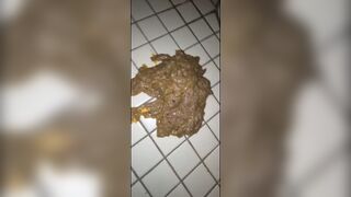 Phat ass does big messy poo, ScatKings.com Scat Porn 15 ScatKings.com Scat Porn