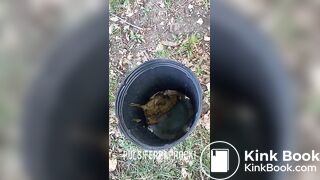 shit out of a tree, ScatKings.com Scat Porn 16 ScatKings.com Scat Porn