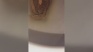 snake dump, ScatKings.com Scat Porn 13 ScatKings.com Scat Porn